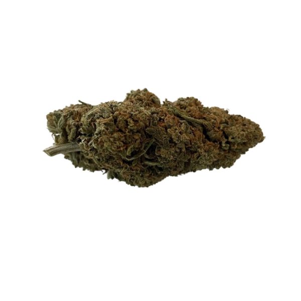 Fleur de Critical Hydroponic